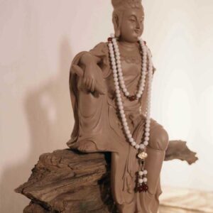 TCM Head Spa Bayreuth Schulung