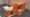 headspa_17